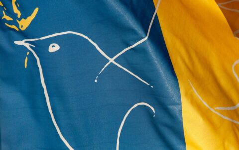 flag-g1e71d95fd_1280
