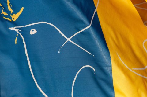 flag-g1e71d95fd_1280