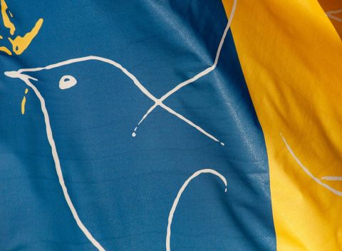flag-g1e71d95fd_1280
