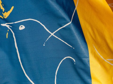 flag-g1e71d95fd_1280